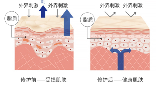 破损_看图王.png